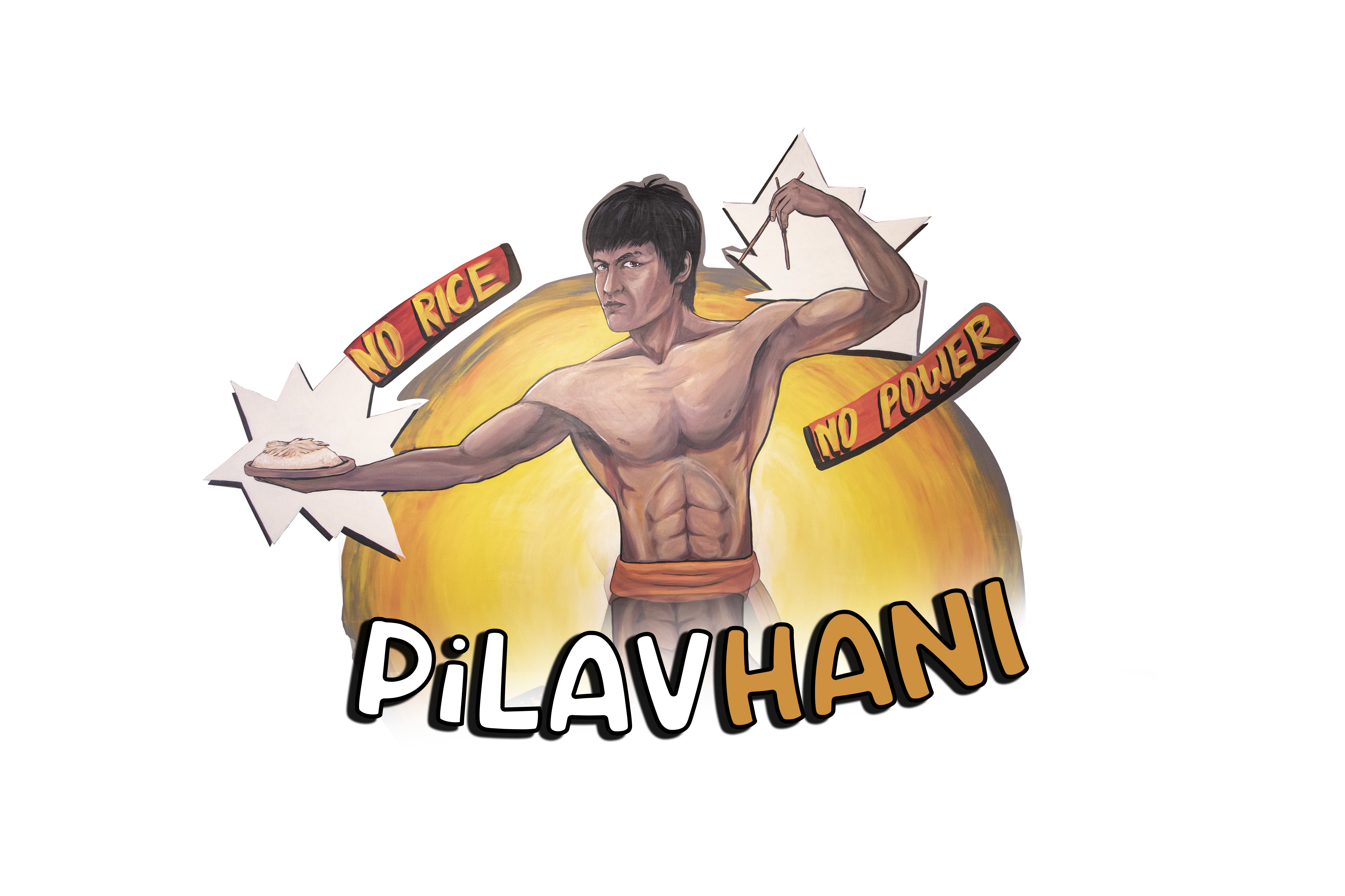 PILAVHAN LOGO