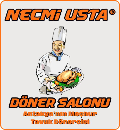 necmi usta logo